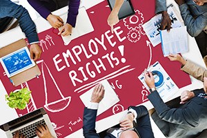 Employee Rights Working Benefits Skill Career Compensation