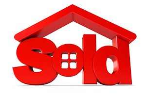 Housing for sale icon