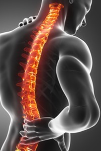 Spine injury pain in scral
