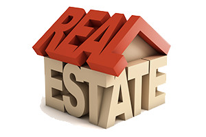 Real estate 3D icon