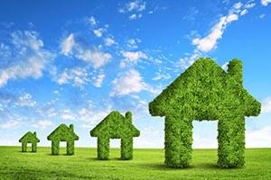 Green grass house