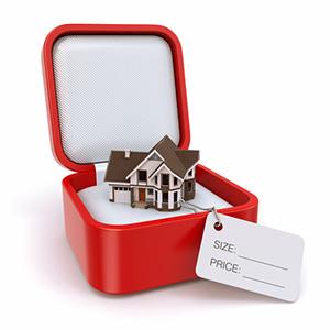 Gift box with house