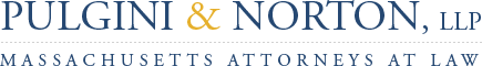 Pulgini & Norton, LLP